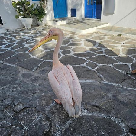 Lalaland Apartment Mykonos Town Exterior foto